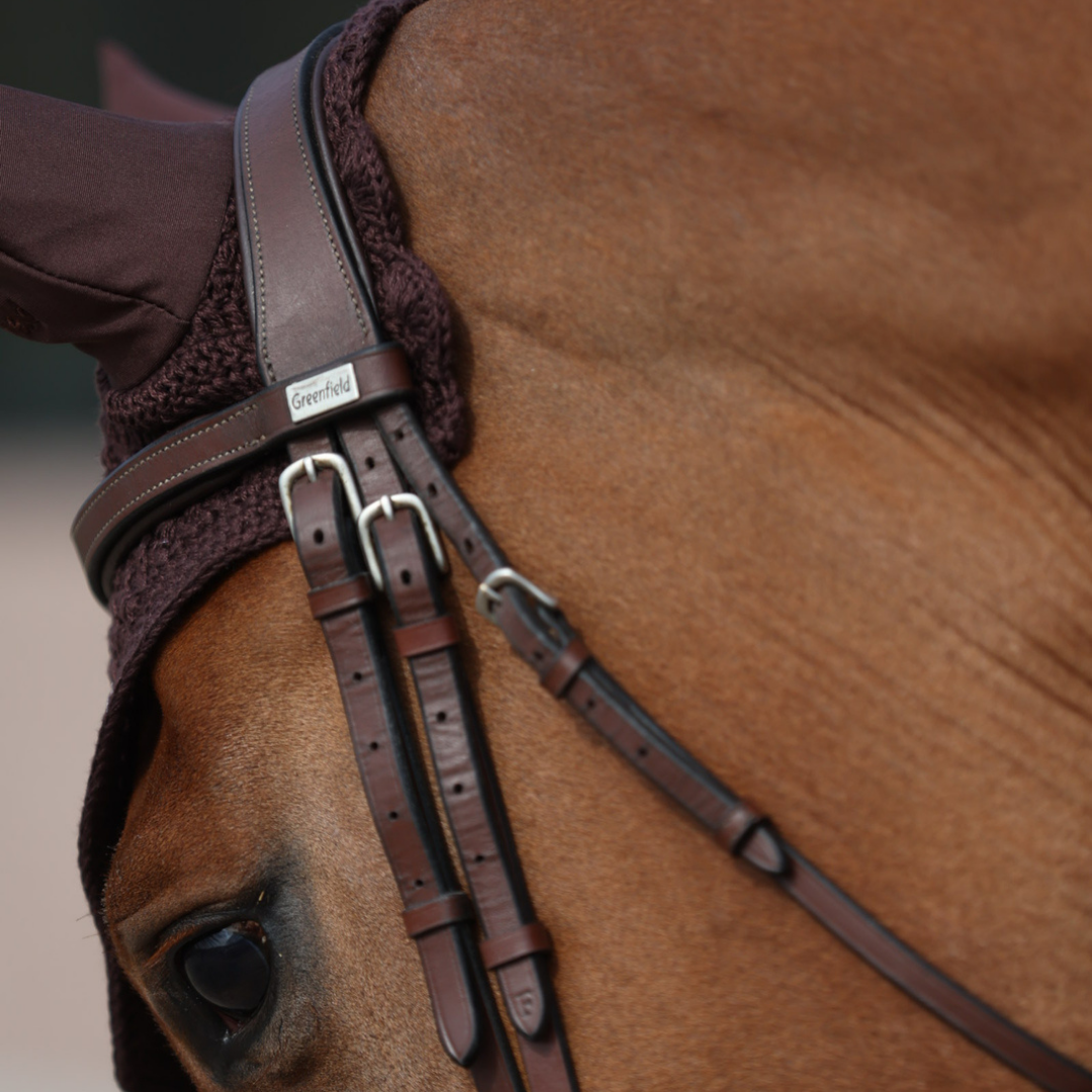 Geneva Bridle