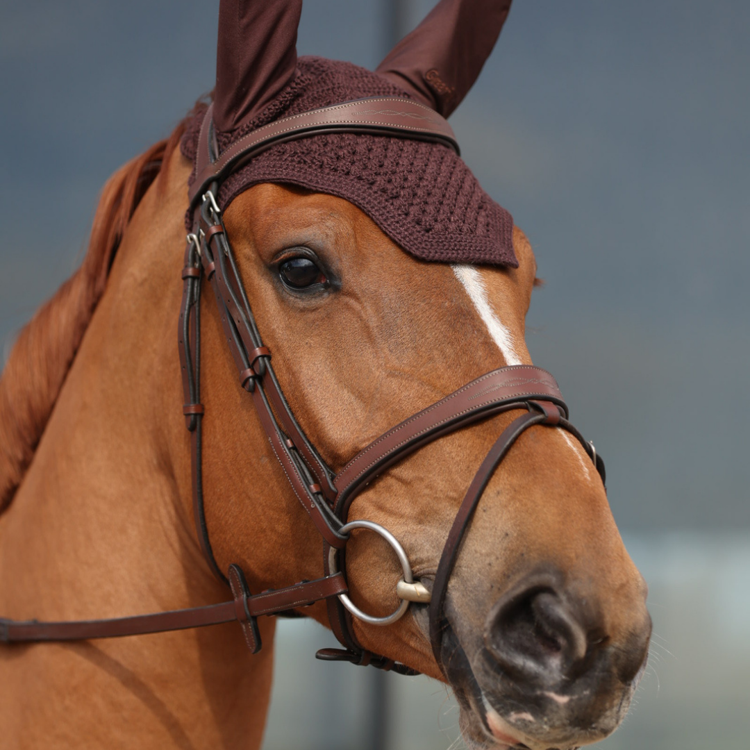 Geneva Bridle