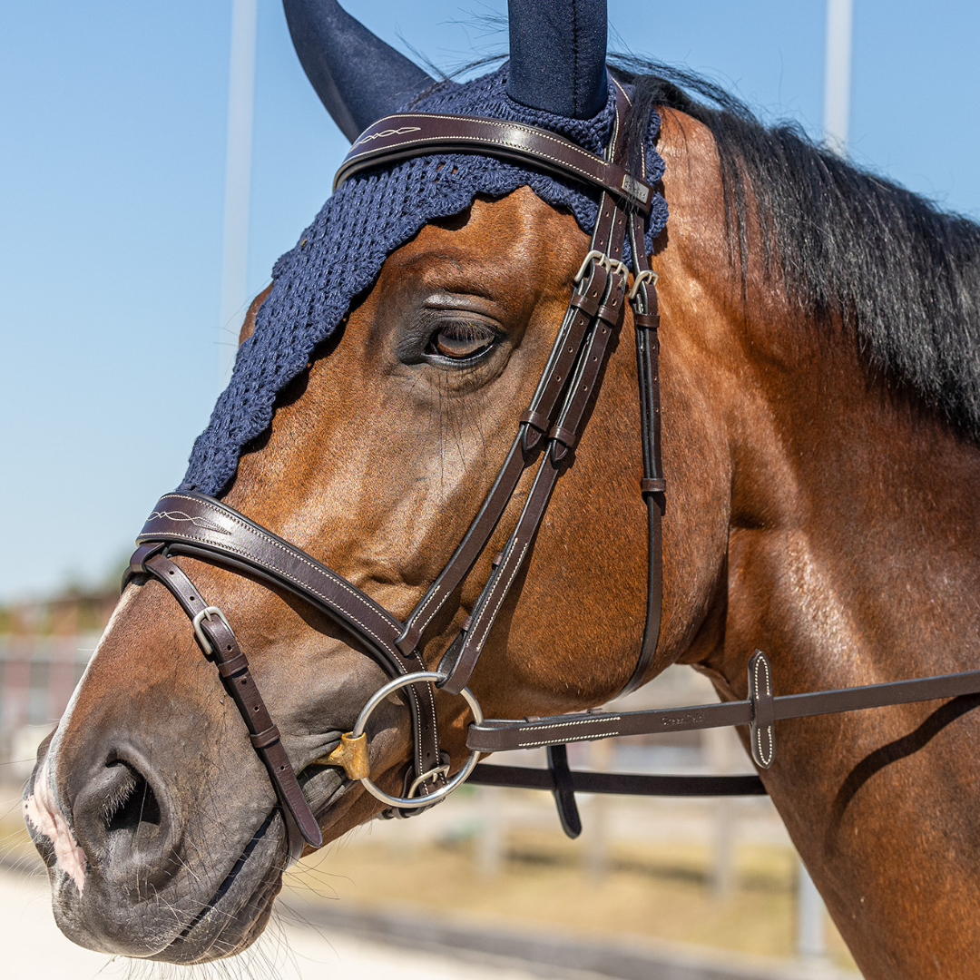 Geneva Bridle
