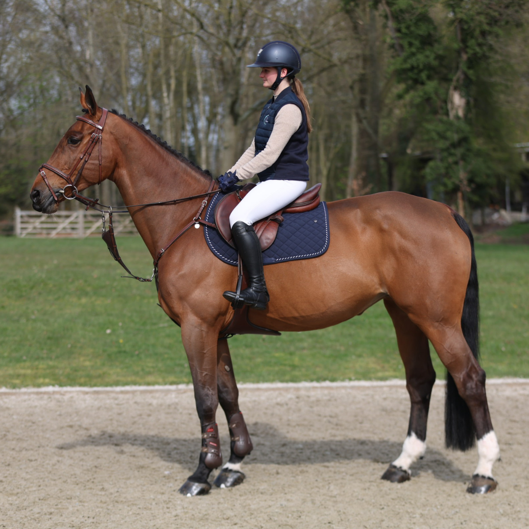 Saddle pad cookie - navy/navy-mix