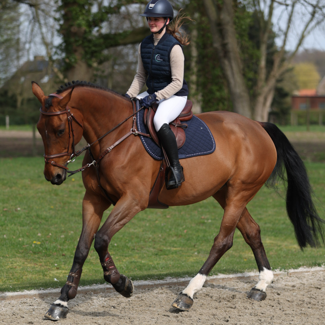 Saddle pad cookie - navy/navy-mix