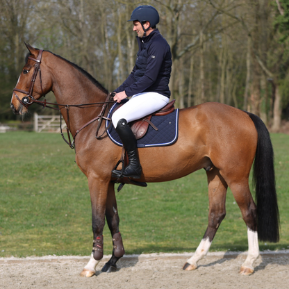 Saddle pad cookie - navy/navy-white/royalblue
