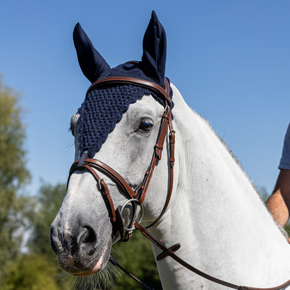 Rome bridle