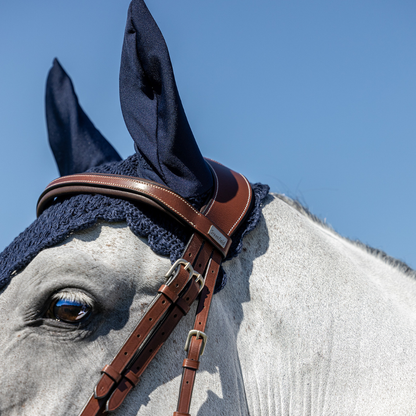 Rome bridle