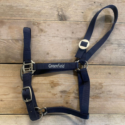 nylon headcollar with simple buckle