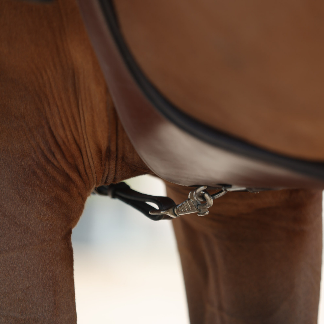 Breastplate Lyon - calf leather