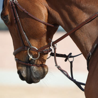 Breastplate Lyon - calf leather