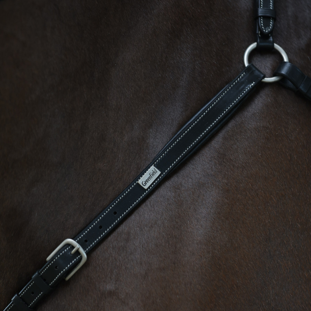 Breastplate Paris - cow leather