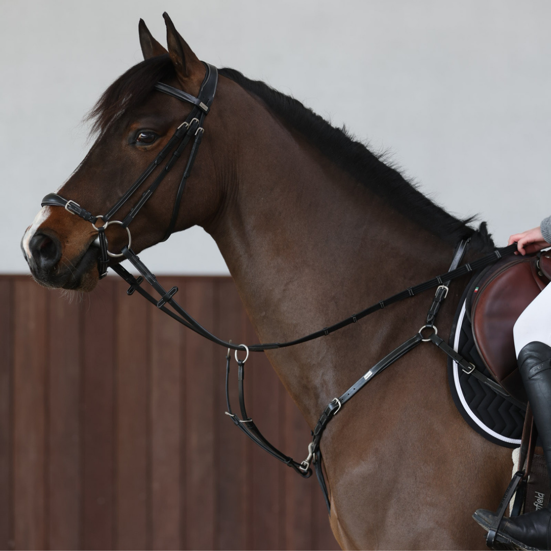 Breastplate Paris - cow leather