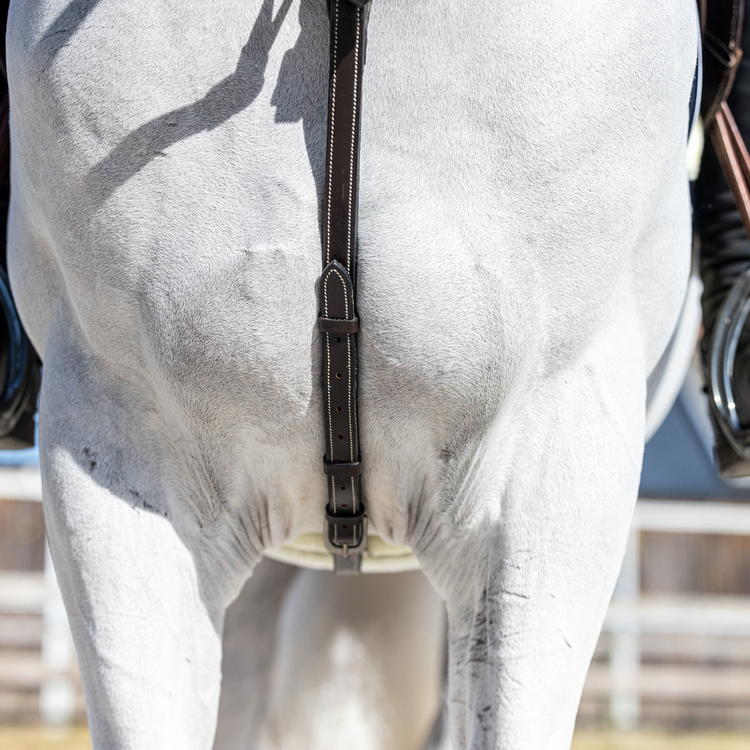 Breastplate Paris - cow leather