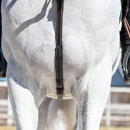 Breastplate Paris - cow leather