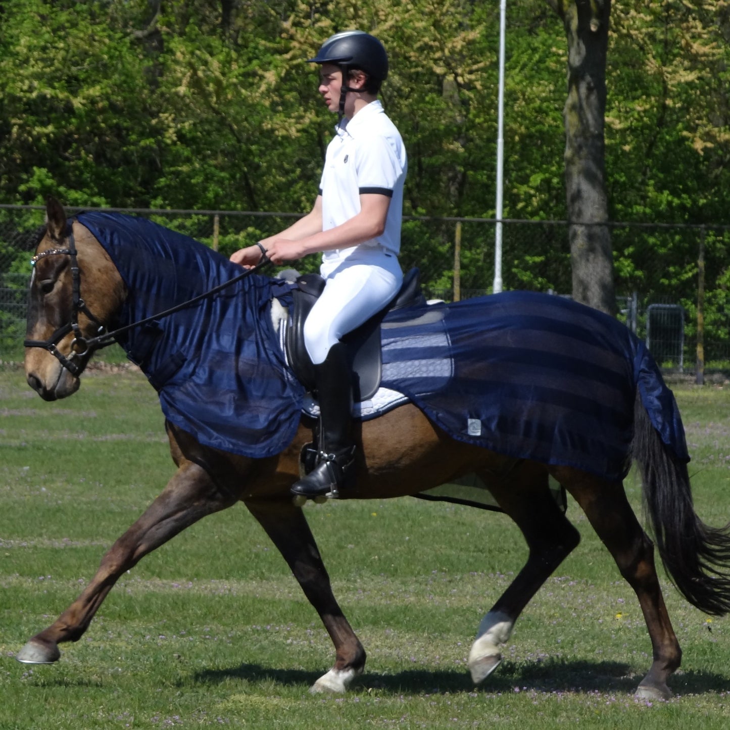 Fly riding sheet