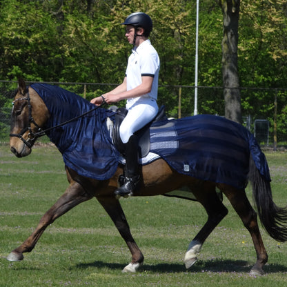 Fly riding sheet