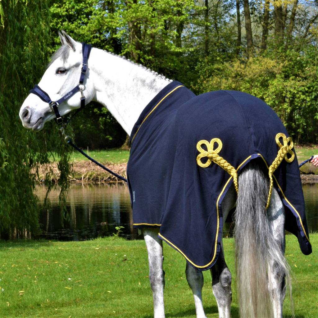Fleece publiciteitsdeken - blauw/blauw - goud