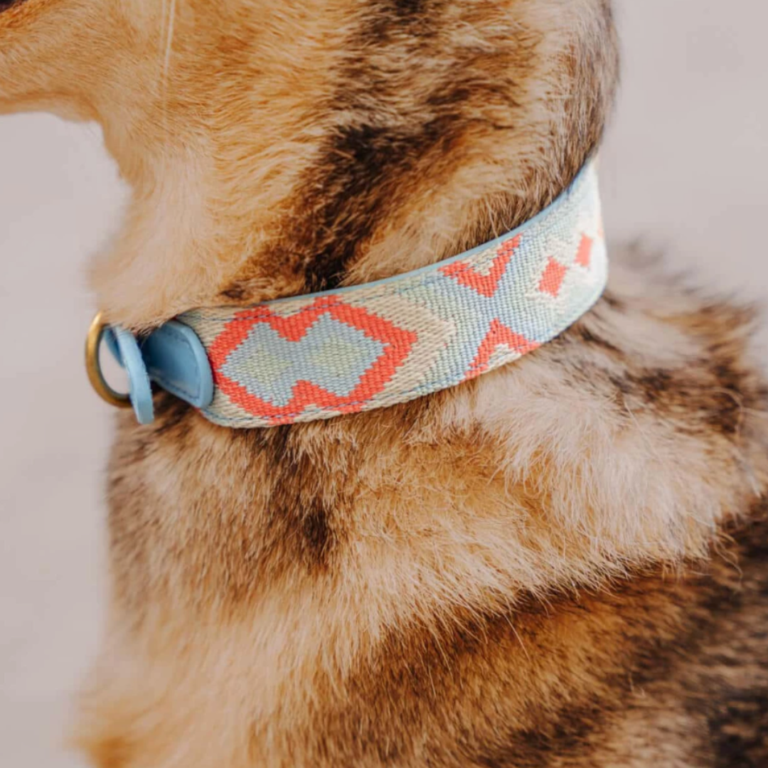 Dog collar - Coral/Blue