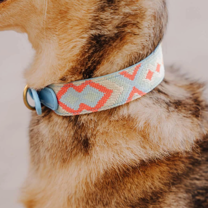 Dog collar - Coral/Blue
