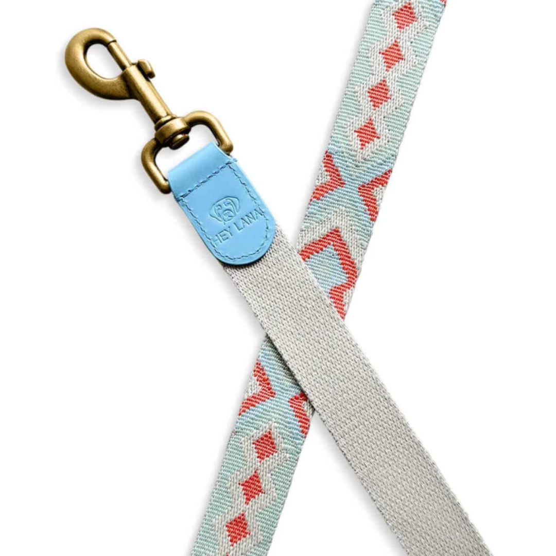 Dog Leash - Coral/Blue