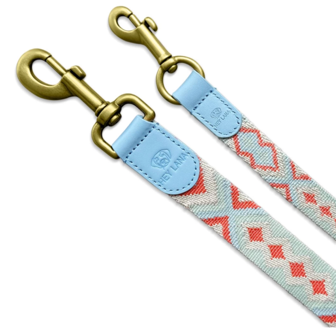 Dog Leash - Coral/Blue