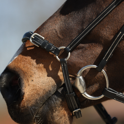 Doha Bridle