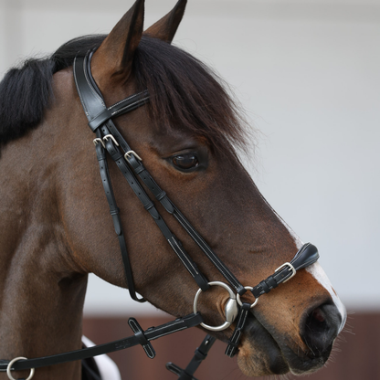 Doha Bridle