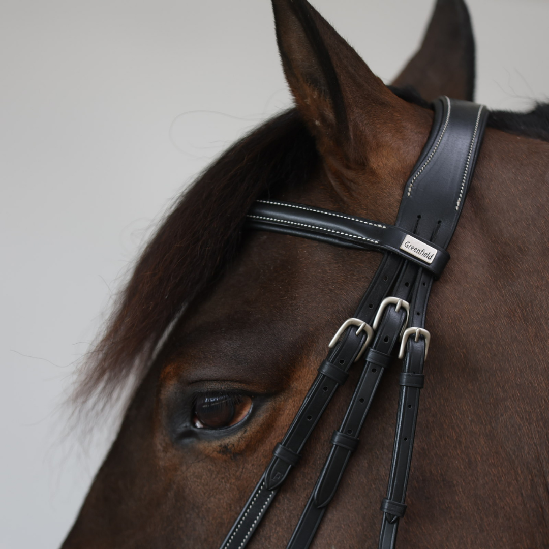 Doha Bridle