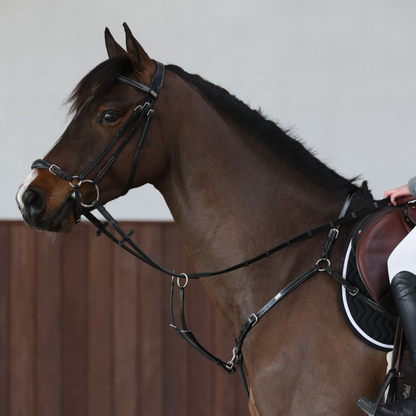 Doha Bridle