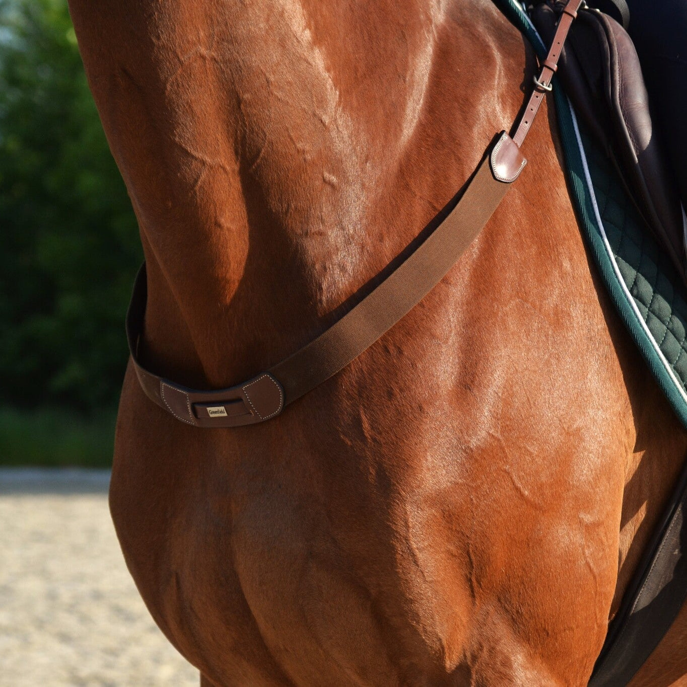Elastic breast collar