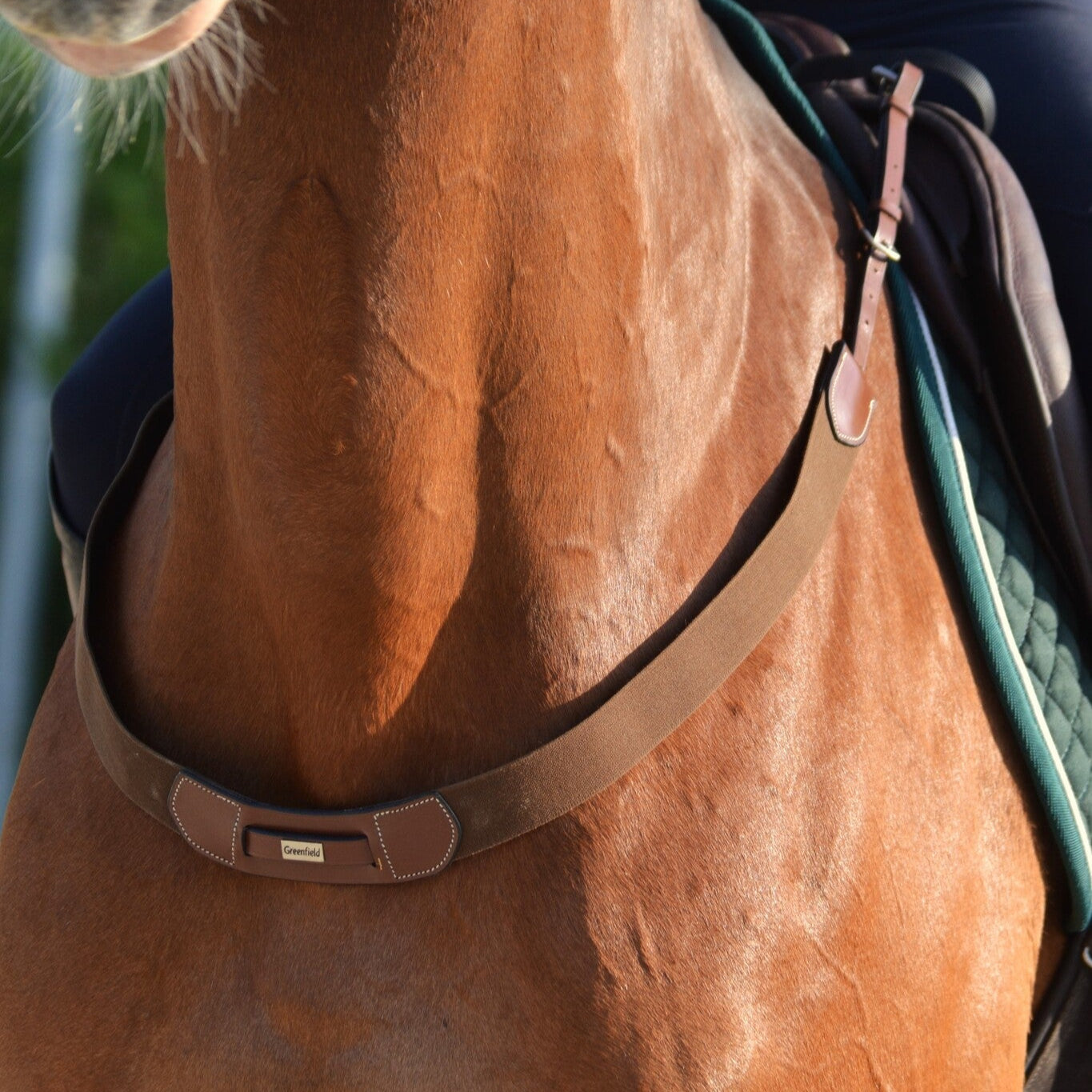 Elastic breast collar