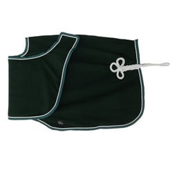 Couvre-reins polaire - vert/vert-argent