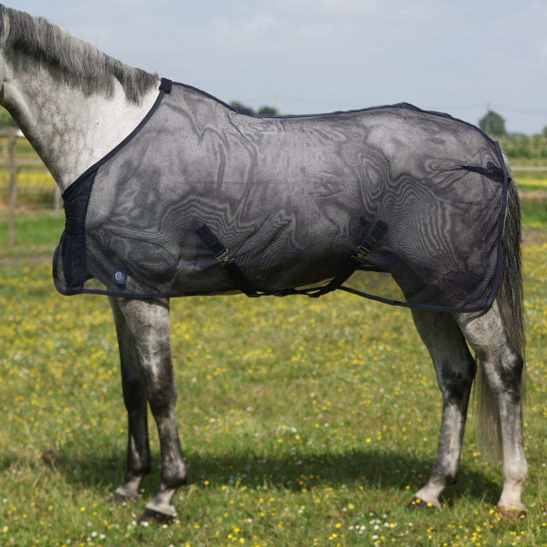 Fly sheet