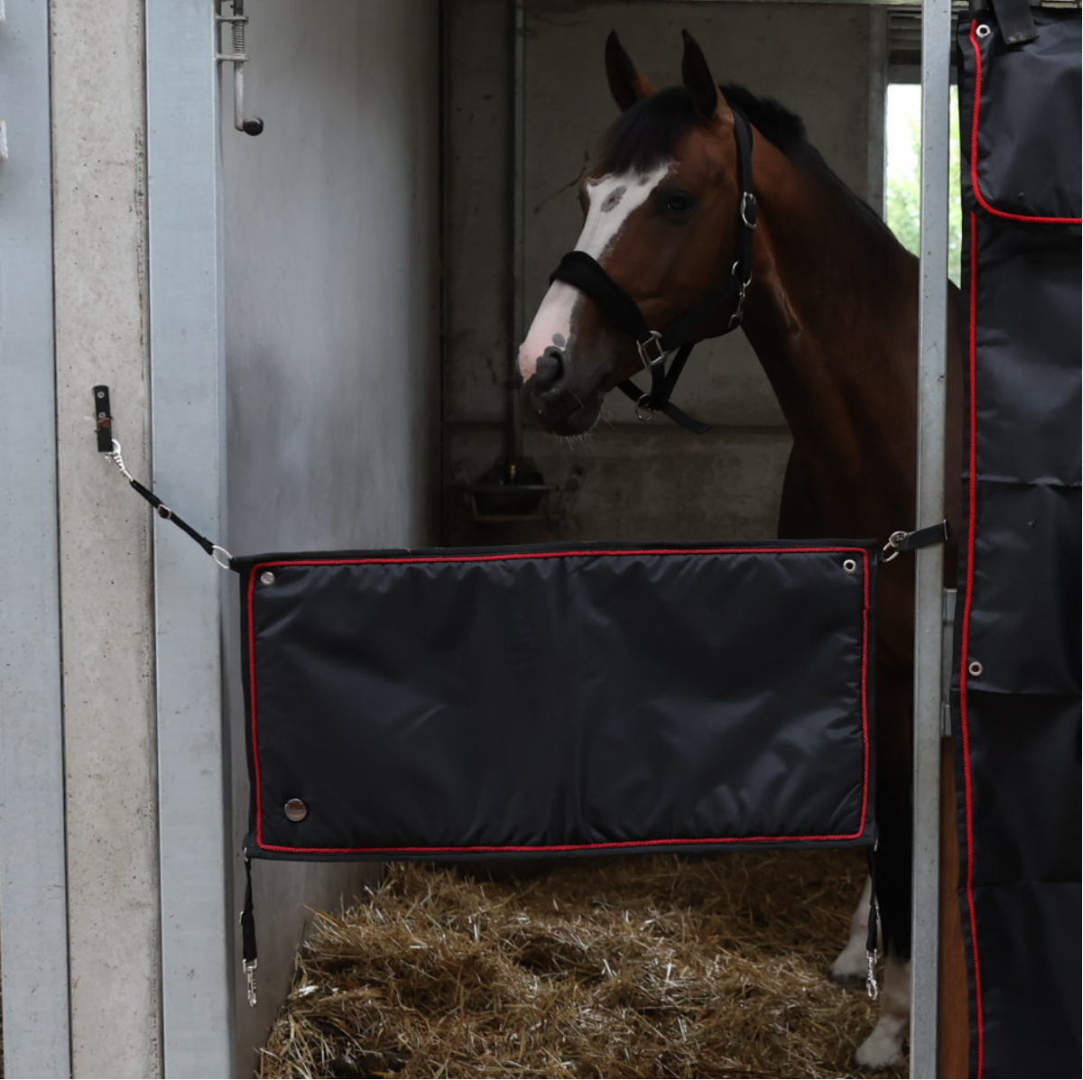 Stable guard black/black - red