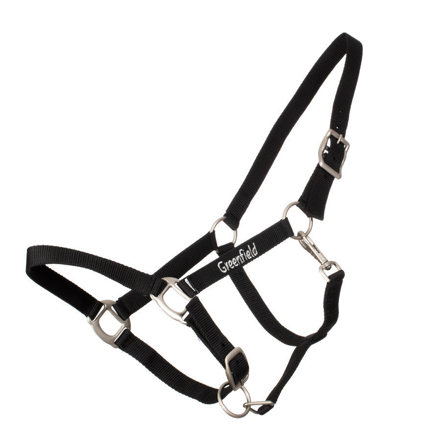 Licol nylon