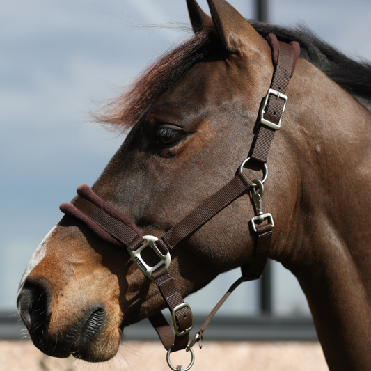 Halster met fleece