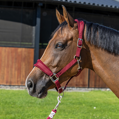 Headcollar with fleece
