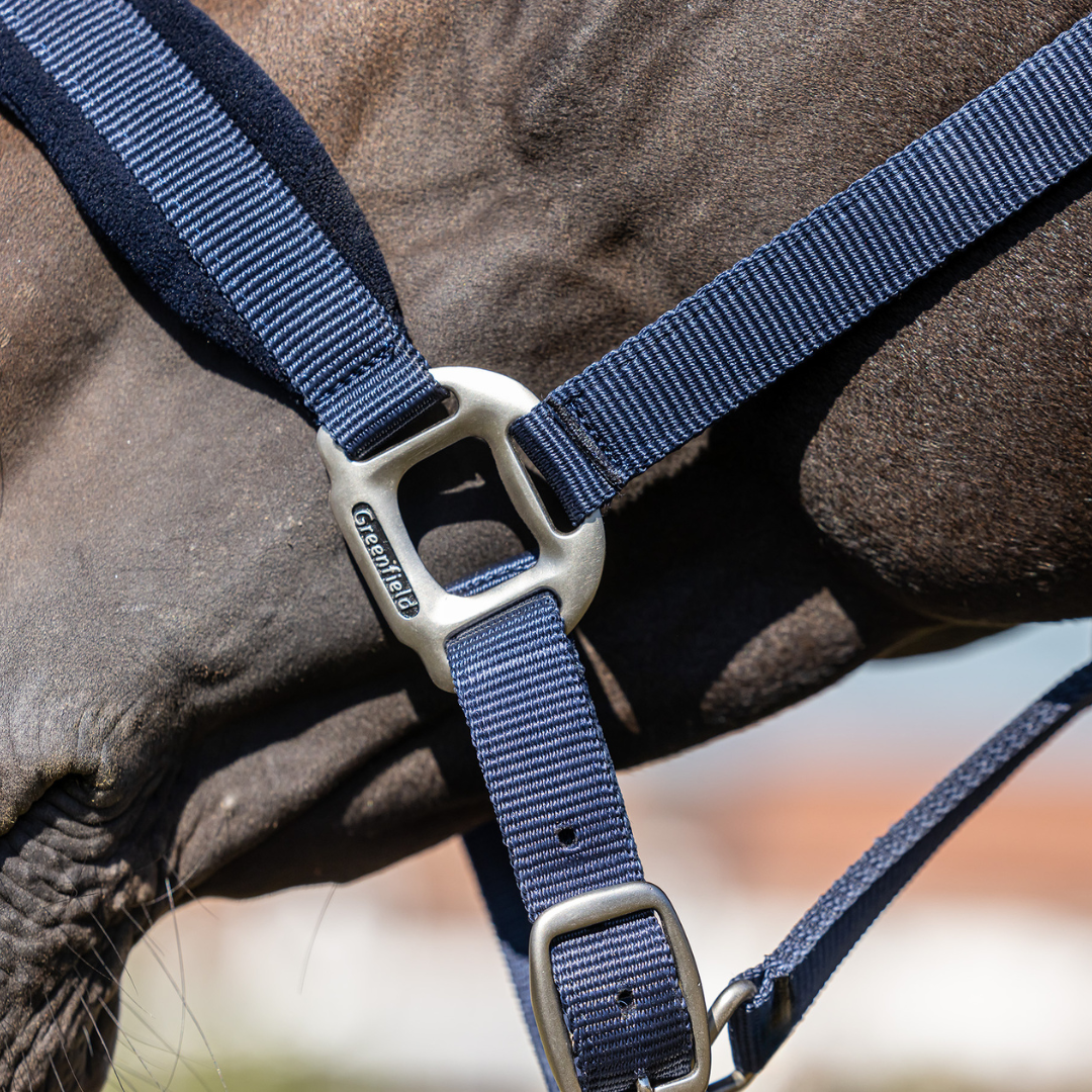 Headcollar with fleece