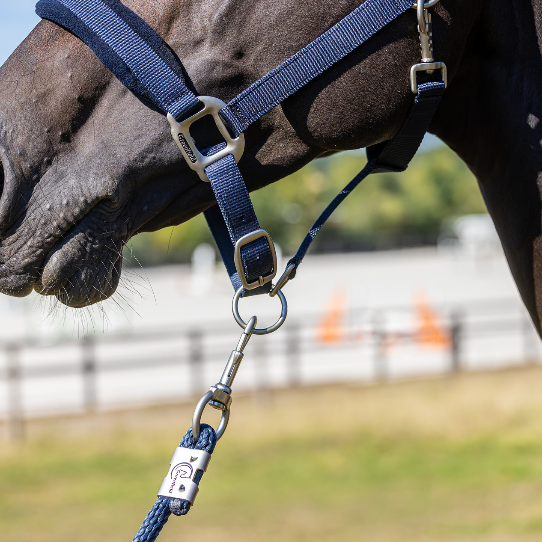 Headcollar with fleece