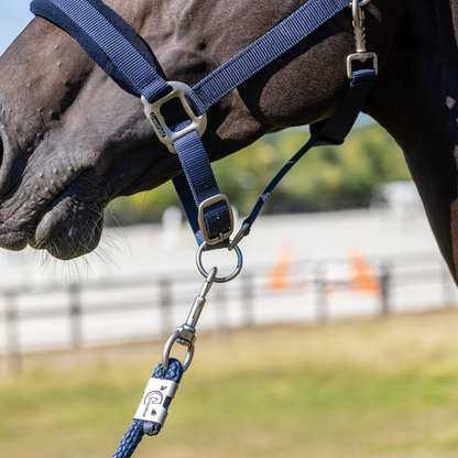 Headcollar with fleece