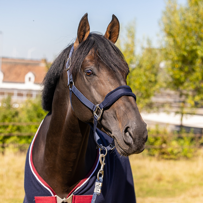 Headcollar with fleece