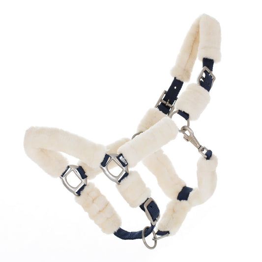 Licol teddy naturel