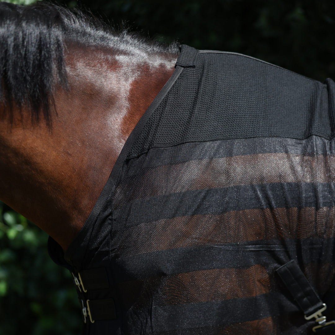 Fly Sheet Honeycomb