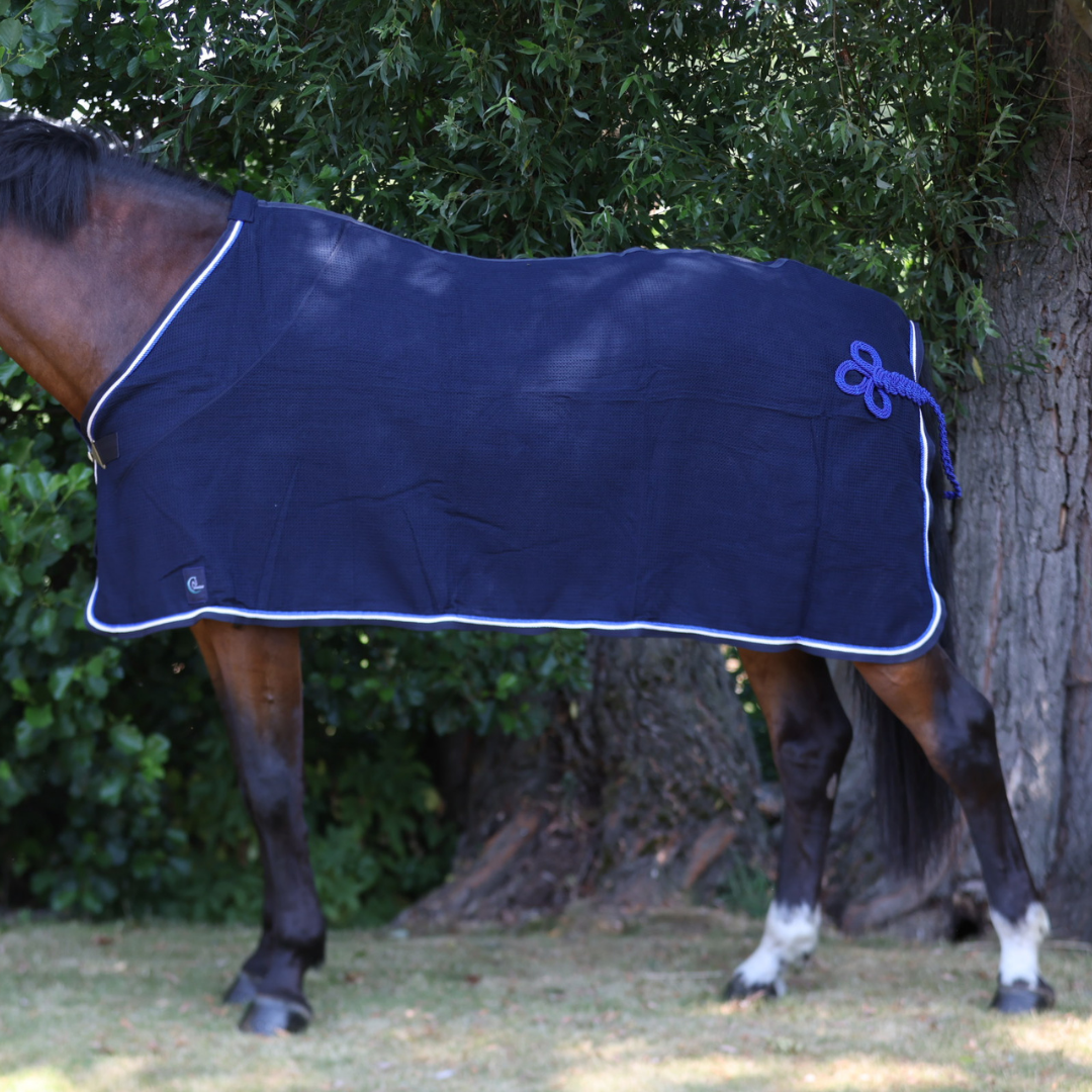 Honeycomb rug - navy/royal blue-white