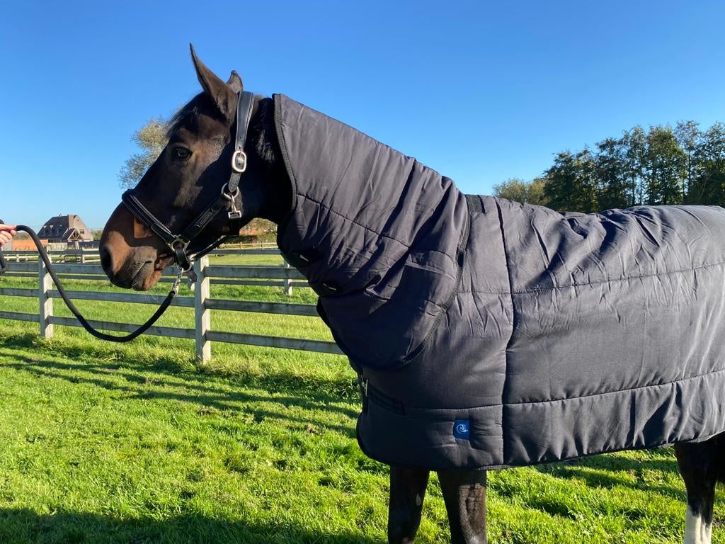 Under rug 200 gram with collar - Black