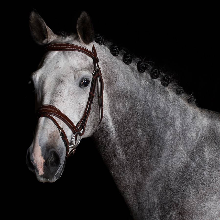 Trense Geneva - Rindsleder