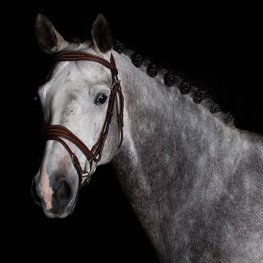 Trense Geneva - Rindsleder