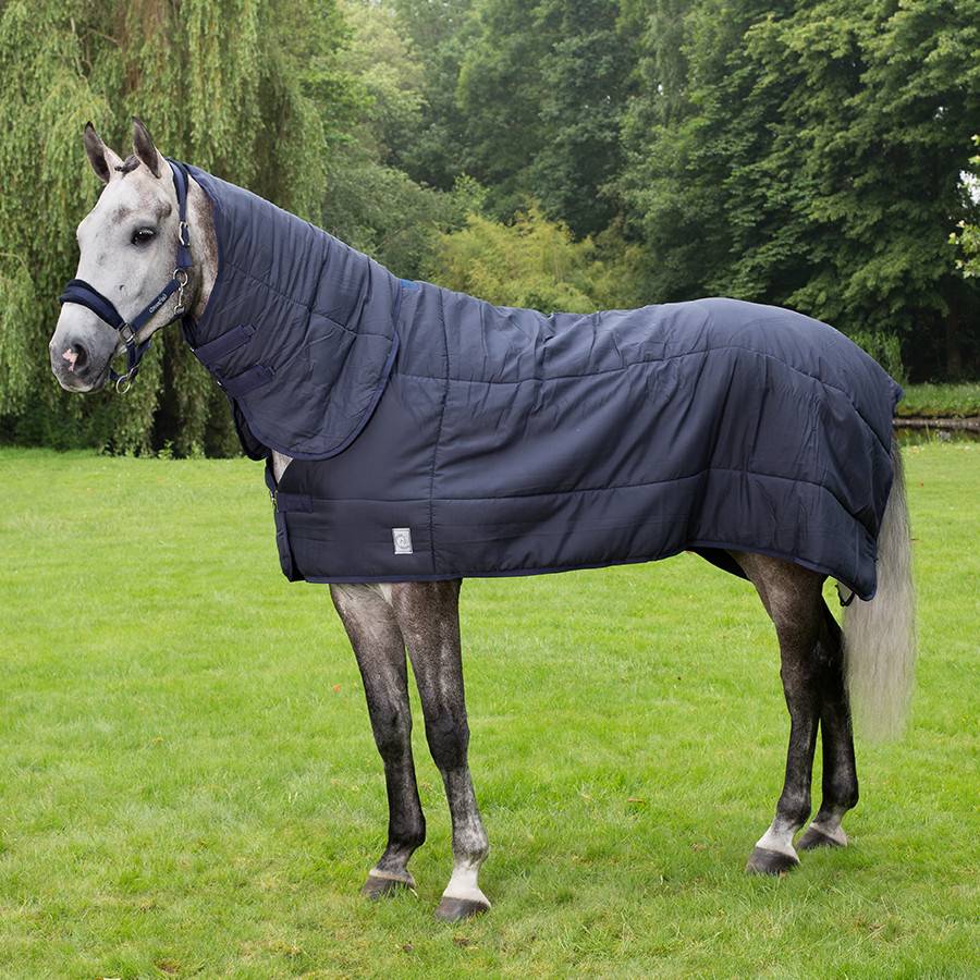 Under rug 400 gram with neckcover - Navy – Greenfield Selection