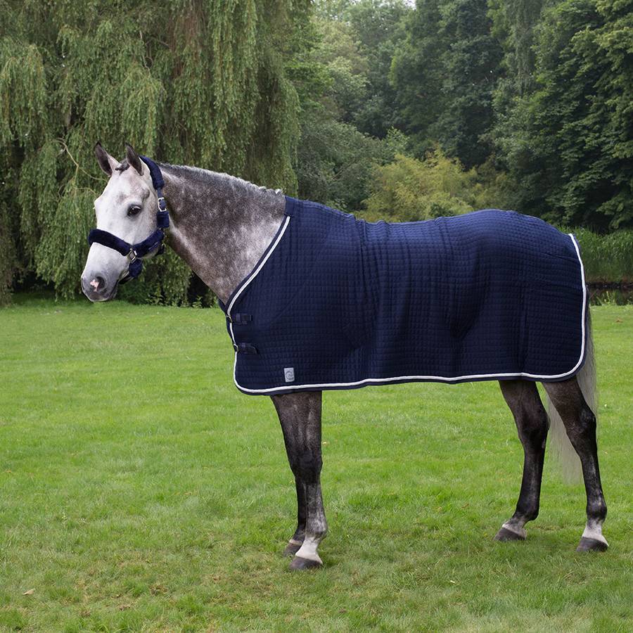 Thermo rug - navy/navy-white/silvergrey