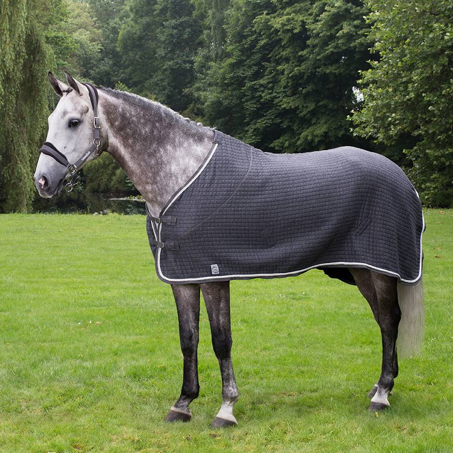 Thermo rug - grey/grey-white/silvergrey