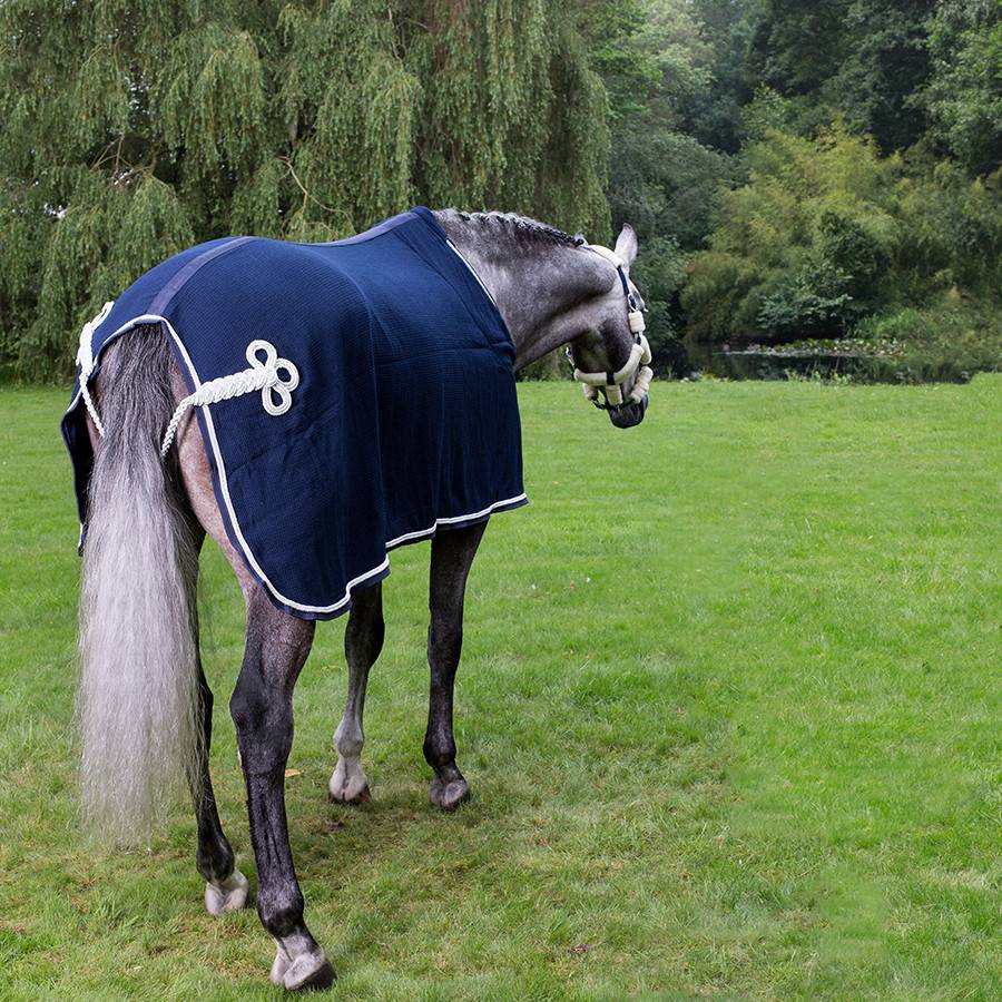 Chemise nid d'abeille - bleu marine/bleu marine-blanc/gris argent