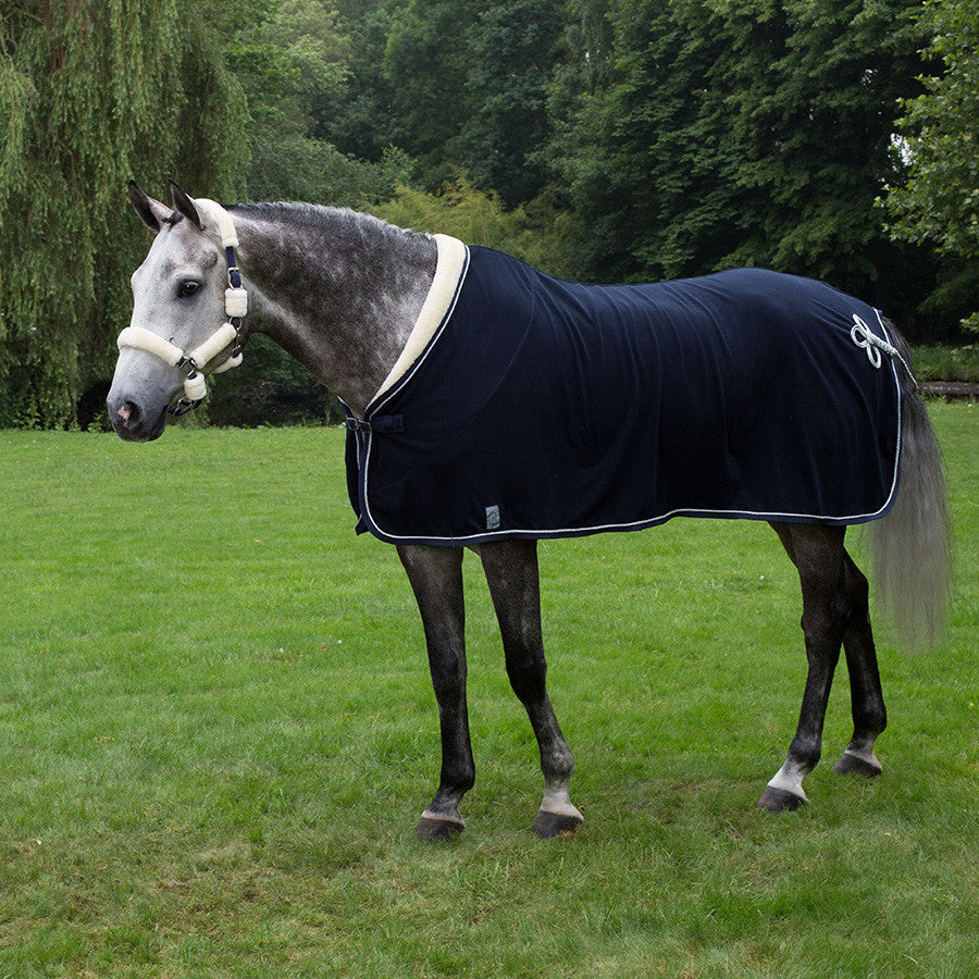 Fleece teddy collar & silver cord - navy