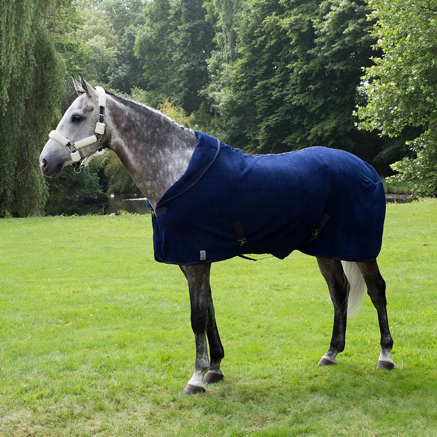 Teddyfleece
